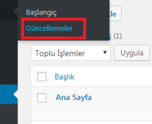 WordPress Otomatik Güncellemeler Nasıl Kapatılır ?
